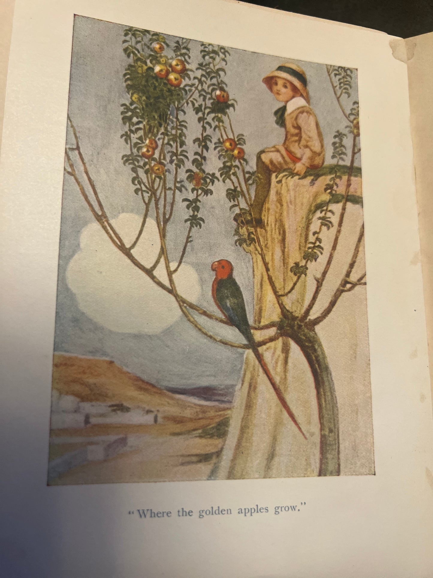 A Child's Garden of Verses Book, By: Robert Luis Stevenson