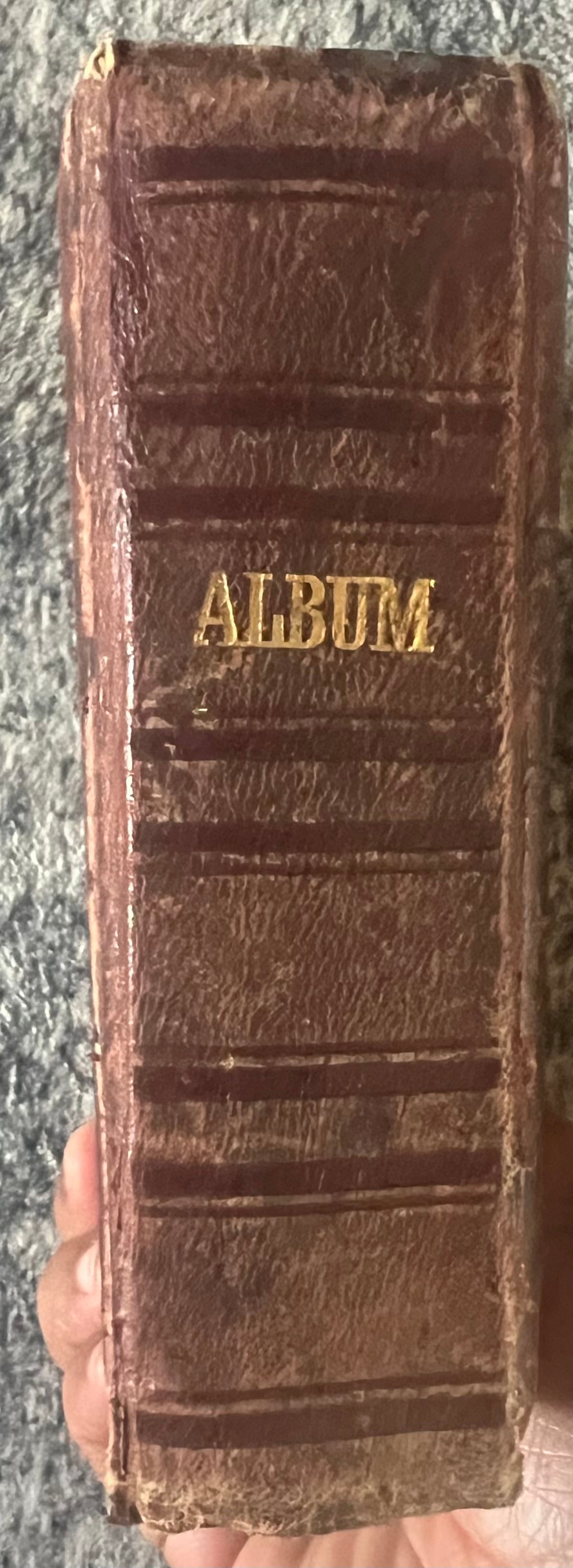 Antique Victorian Photo Album – 1888 – With Tintypes & Collector Cards